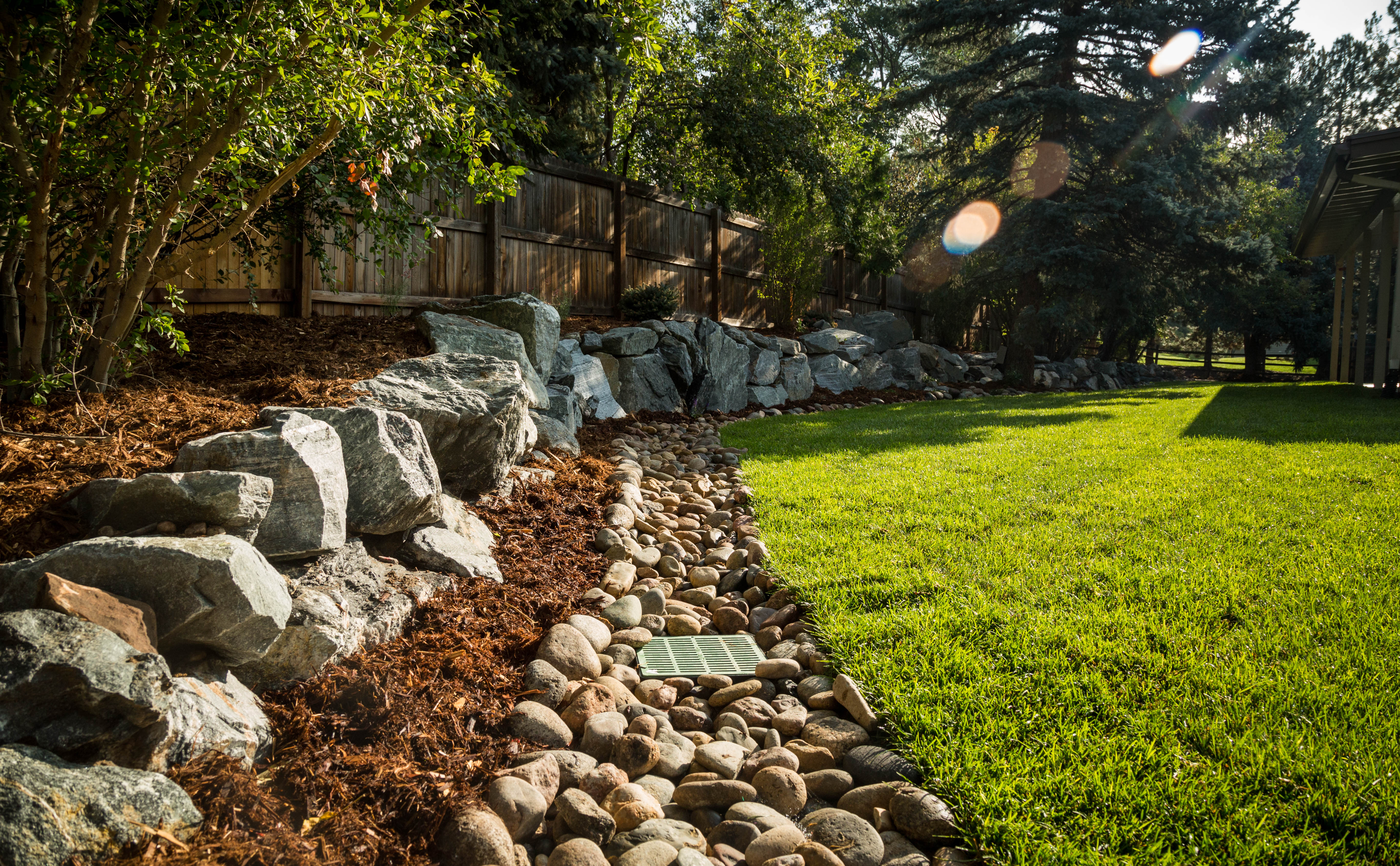 cherry_retaining wall_wide lense flare-1879