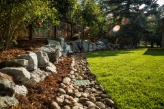 cherry_retaining wall_wide lense flare-1879