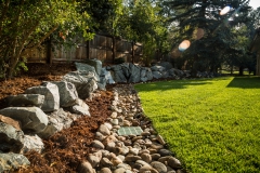cherry_retaining wall_wide lense flare-1879